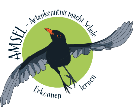 AMSEL - Artenkenntnis macht Schule